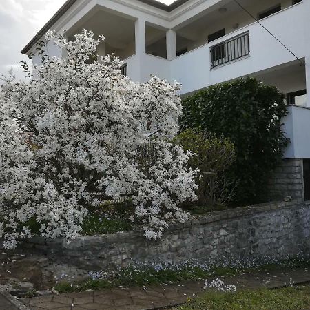 Stella Marina Apartment Umag Ngoại thất bức ảnh