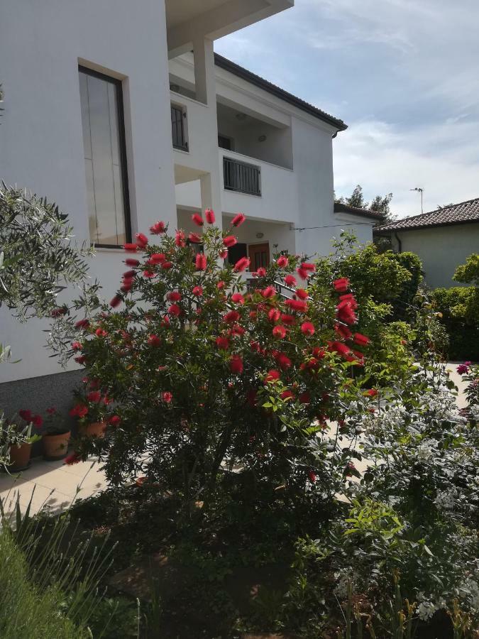 Stella Marina Apartment Umag Ngoại thất bức ảnh